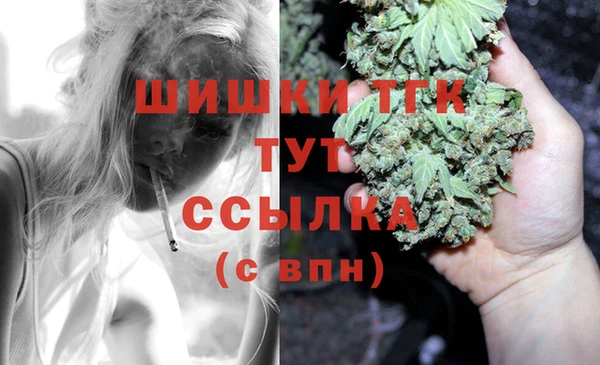 Альфа ПВП Санкт-Петербург