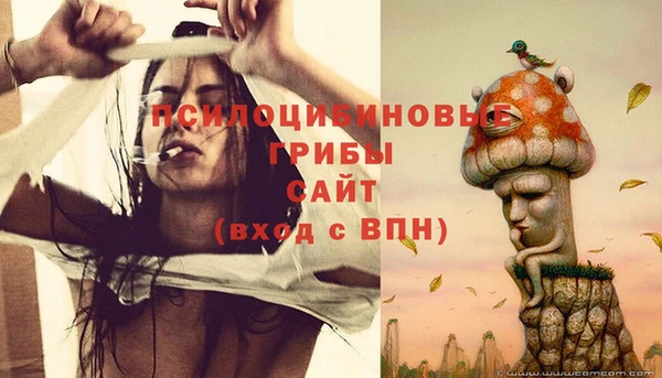 герыч Ессентукская