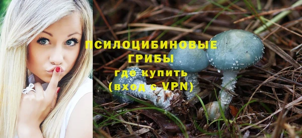 герыч Новосибирск