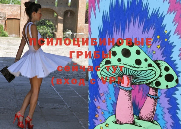 Альфа ПВП Санкт-Петербург