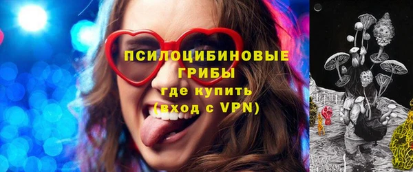 Альфа ПВП Санкт-Петербург