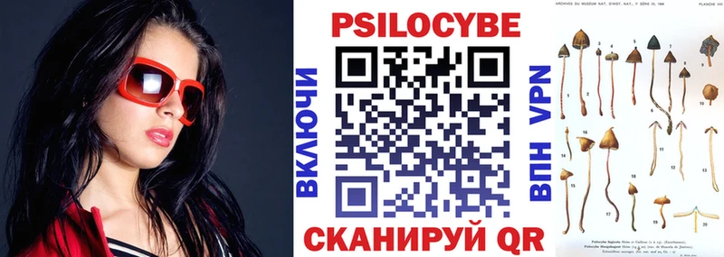 Галлюциногенные грибы Psilocybe Острогожск